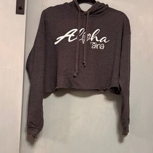 Aloha ʻĀina Gray Cropped Hoodie